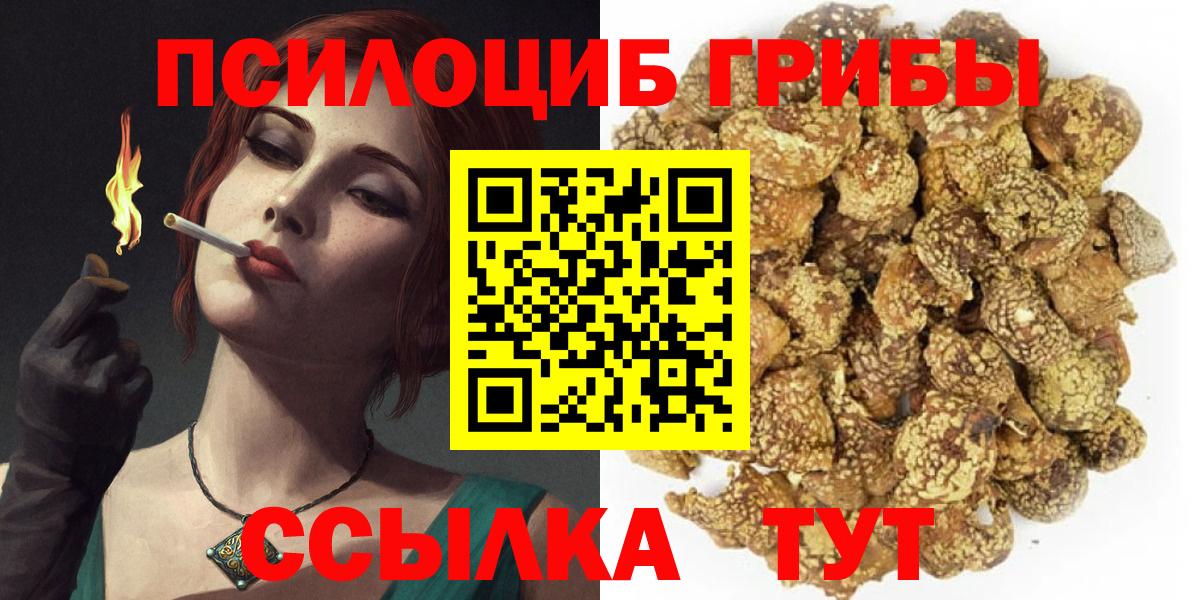 Галлюциногенные грибы Magic Shrooms Губкин