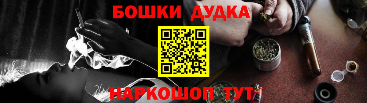 Бошки Шишки планчик Губкин